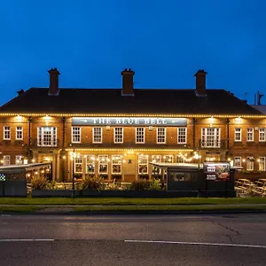 book here